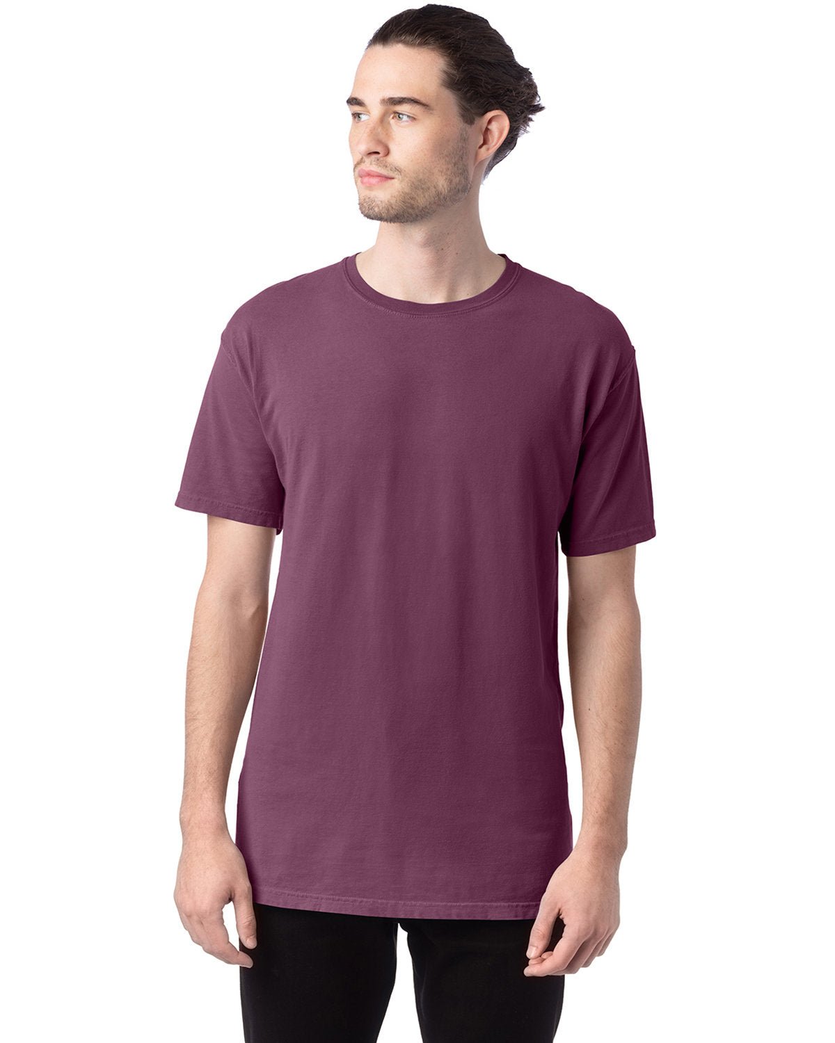 GDH100-ComfortWash by Hanes-PURPLE PLM RAISN-ComfortWash by Hanes-T-Shirts-1