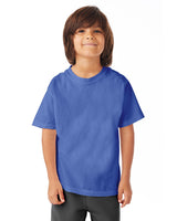 GDH175-ComfortWash by Hanes-DEEP FORTE BLUE-ComfortWash by Hanes-T-Shirts-1