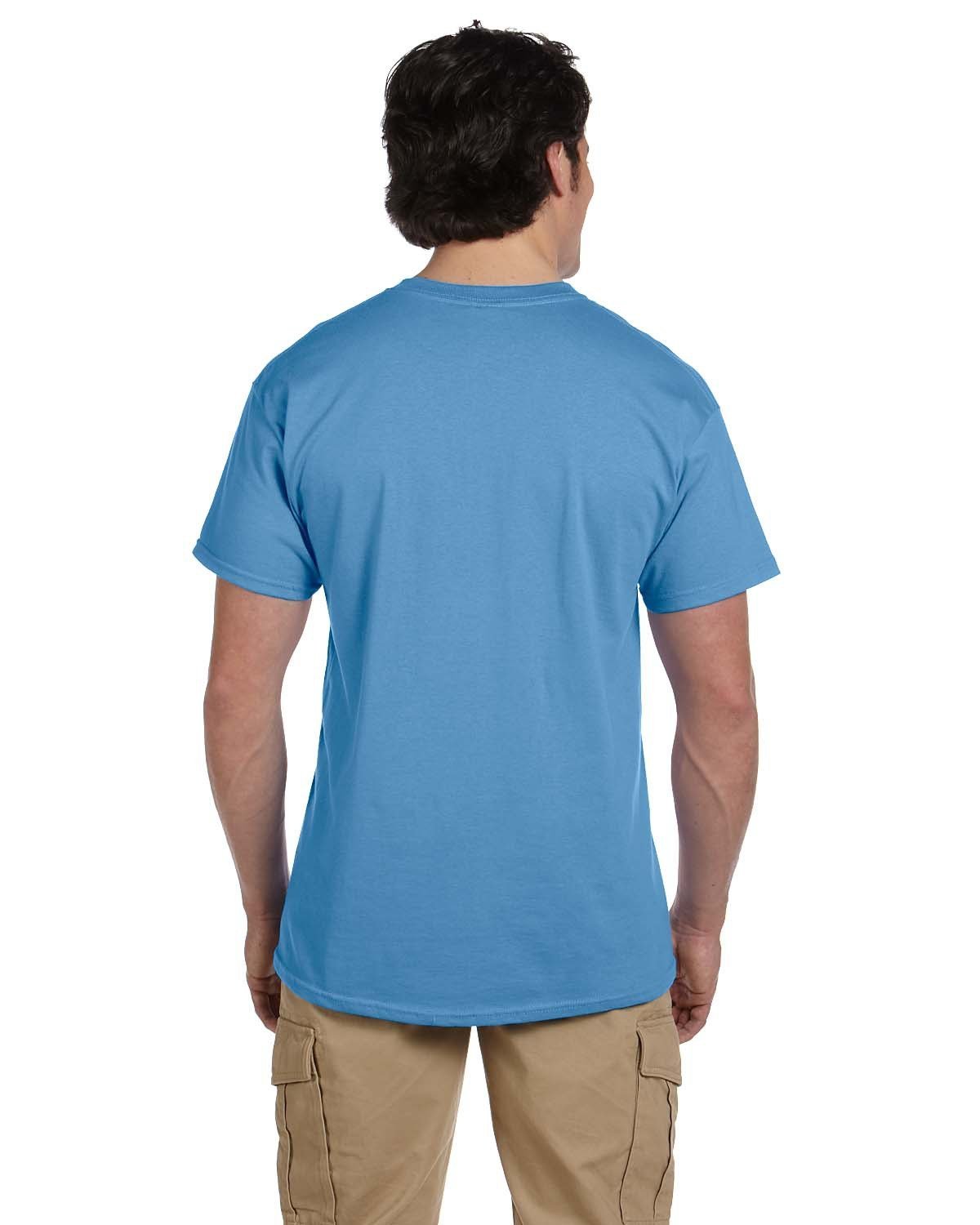 3931-Fruit of the Loom-COLUMBIA BLUE-Fruit of the Loom-T-Shirts-2