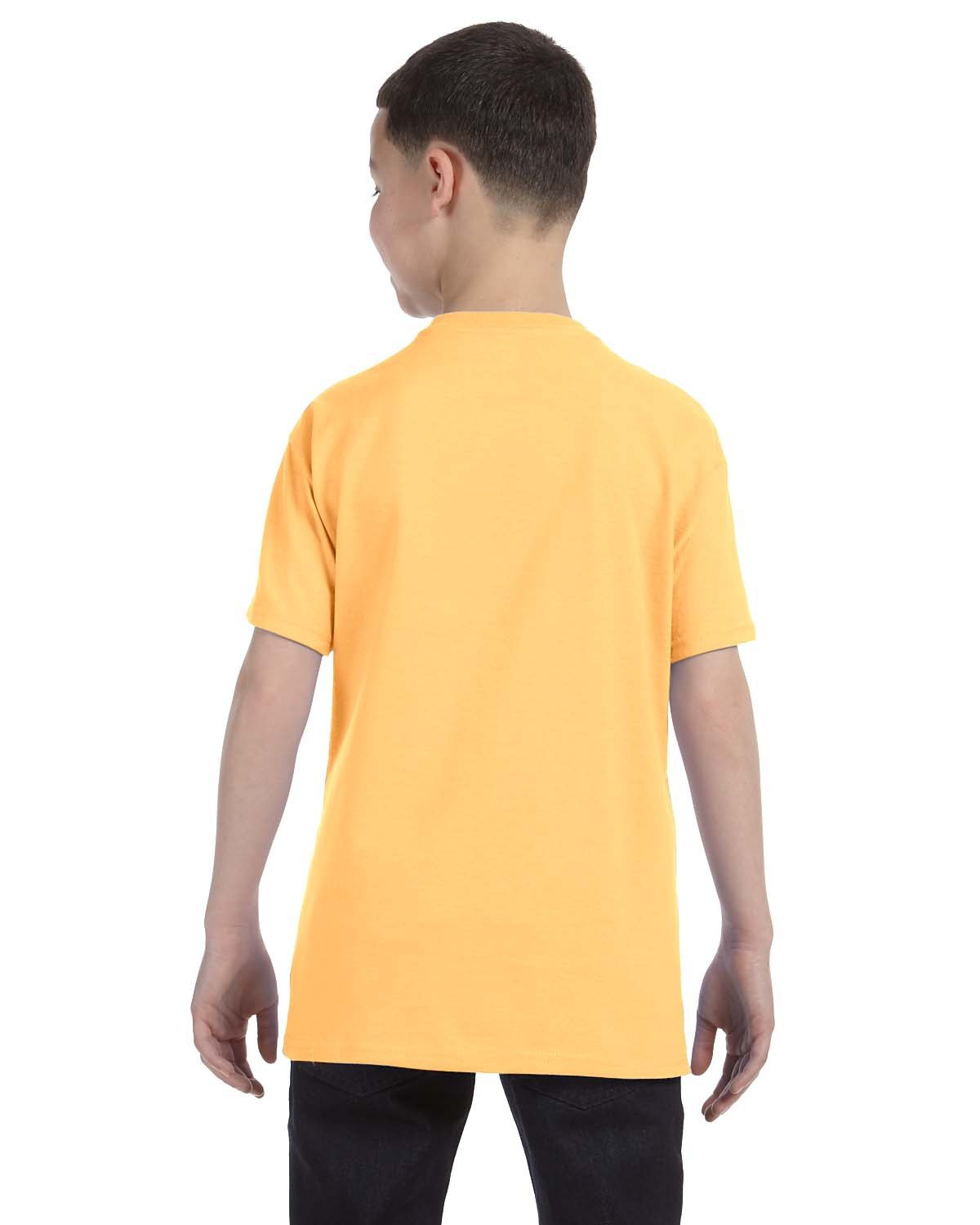 G500B-Gildan-YELLOW HAZE-Gildan-T-Shirts-2