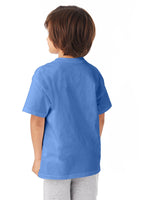 54500-Hanes-CAROLINA BLUE-Hanes-T-Shirts-2