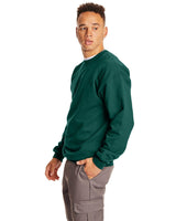 F260-Hanes-DEEP FOREST-Hanes-Sweatshirts-3