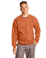 F260-Hanes-PUMPKIN-Hanes-Sweatshirts-1