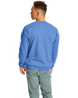 P1607-Hanes-CAROLINA BLUE-Hanes-Sweatshirts-2