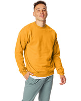 P1607-Hanes-GOLD-Hanes-Sweatshirts-1