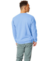 P1607-Hanes-LIGHT BLUE-Hanes-Sweatshirts-2