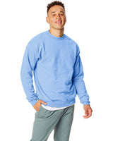 P1607-Hanes-LIGHT BLUE-Hanes-Sweatshirts-1