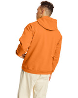 P170-Hanes-TENNESSEE ORANGE-Hanes-Sweatshirts-2